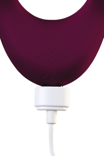 Многофункциональный вибратор для пар Satisfyer Endless Joy малиновый фото 7