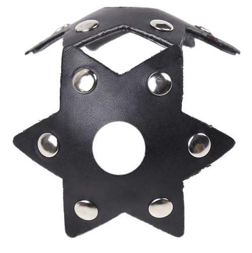 Пэстисы в форме звездочек с заклепками фото 3