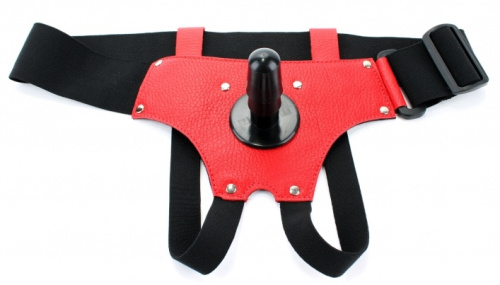 Красные трусики со штырьком для насадки фото 2