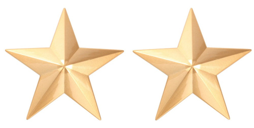 Золотые металлические пэстисы звездочки