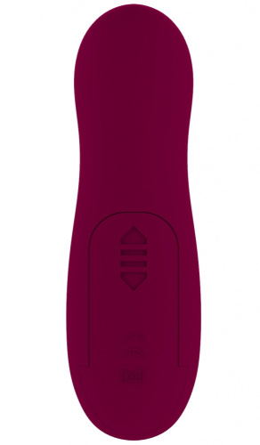 Вакуумный стимулятор Take It Easy Ace Wine фото 5