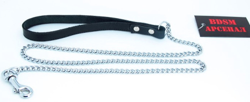 Поводок с крупной цепью фото 2