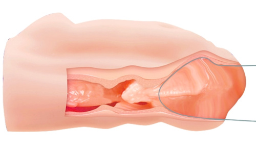 Мастурбатор-вагина с необычным дизайном Crazy Bull фото 7