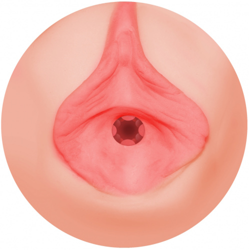 Реалистичный мастурбатор-вагина Satisfaction Funny Girl фото 3