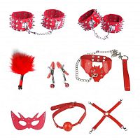 Бондажный набор Taboo Accessories Extreme Set №15
