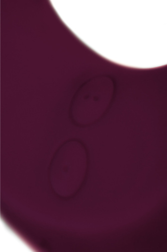 Многофункциональный вибратор для пар Satisfyer Endless Joy малиновый фото 6