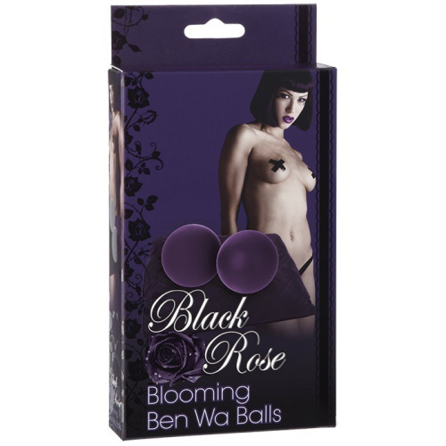 Силиконовые вагинальные шарики фиолетовые Black Rose фото 2