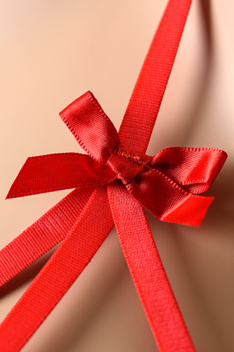 Эротическое красное боди XL фото 6