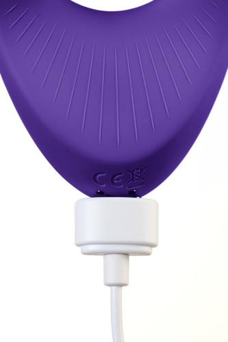 Многофункциональный вибратор для пар Satisfyer Endless Love фиолетовый фото 9