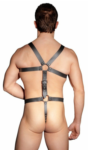 Кожаная мужская сбруя с эрекционным кольцом Zado Fetish фото 2