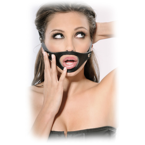 Кляп 3 в 1 со сменными частями Fetish Fantasy Extreme фото 3