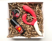 Подарочный набор для девушки We-Vibe Nova