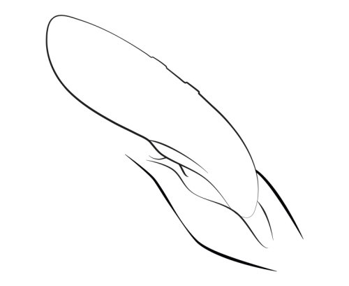 DEMO Вибростимулятор We-Vibe Touch X коралловый фото 8