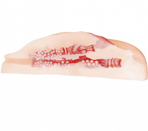 Реалистичный мастурбатор с вибрацией Satisfaction Miss Universe фото 4