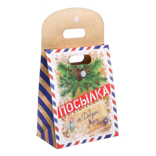 Подарочный пакет Посылка от Деда Мороза ML фото 2