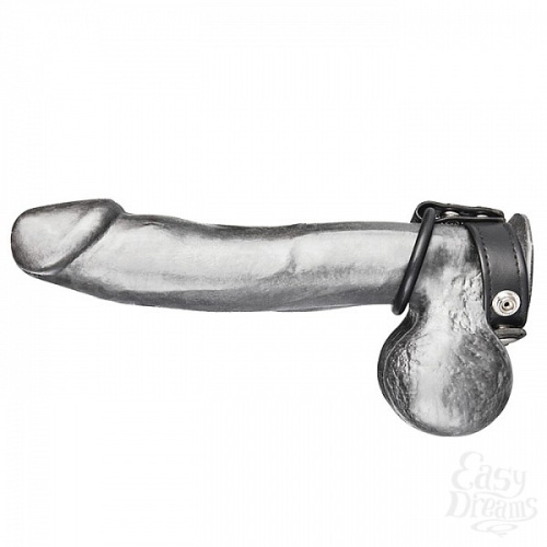 Двойное кольцо выносливости на пенис Dual Stamina Ring фото 2