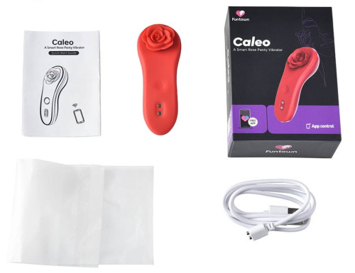 Магнитный смарт-вибратор в трусики Magic Motion Funtown Caleo фото 11