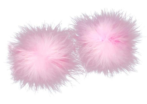 Нежно-розовые пушистые пэстисы фото 2