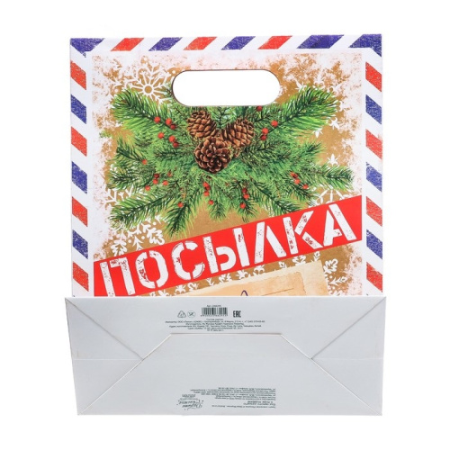Подарочный пакет Посылка от Деда Мороза ML фото 3