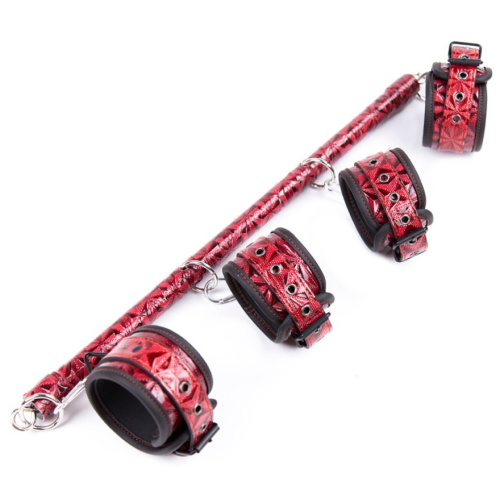 Красный дизайнерский набор для БДСМ игр фото 2