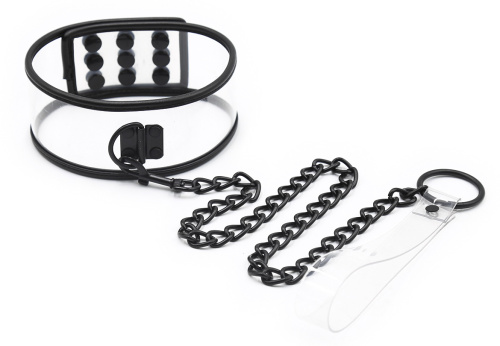 Прозрачный ошейник с заклепками на металлическом поводке фото 2