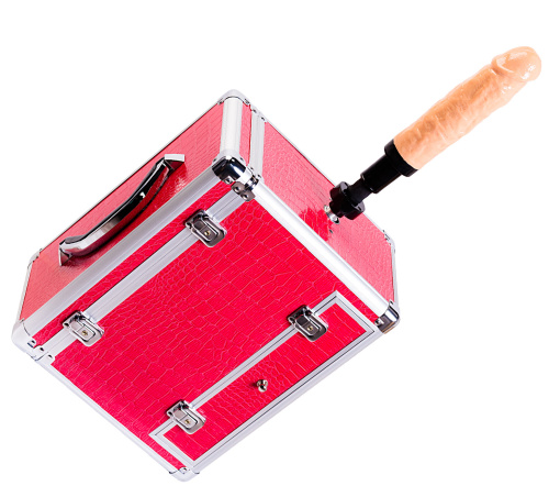 Секс-чемодан Diva Wiggler с двумя сменными насадками фото 9