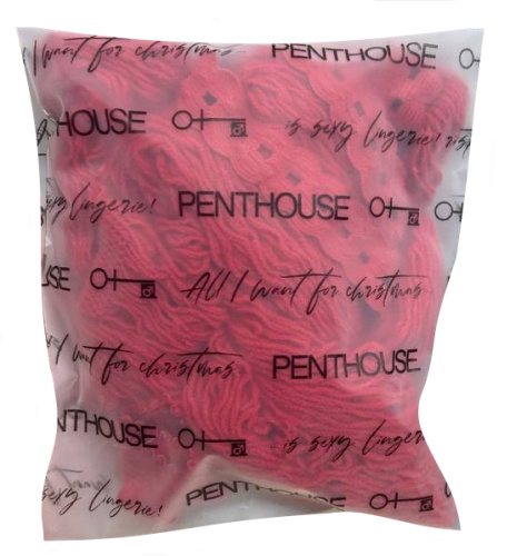 Красный сексуальный боди-комбинезон с доступом Penthouse Body Search S/L фото 3