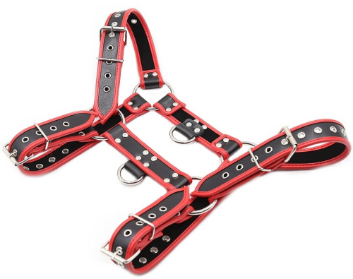 Мужская черно-красная сбруя с заклепками фото 4