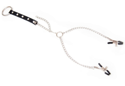 Зажимы для сосков с металлическим кольцом на пенис фото 2