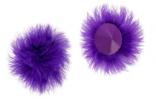 Фиолетовые пушистые пэстисы фото 2