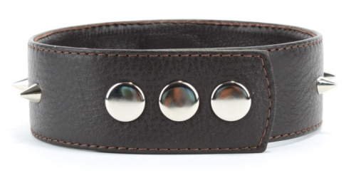 Коричневый ошейник с маленькими шипами фото 4