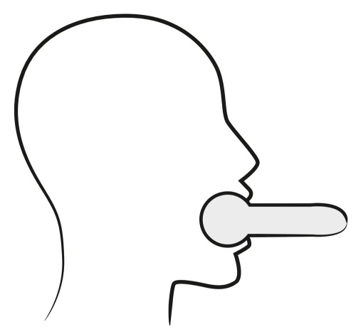 БДСМ ошейник с поводком и расширяющимся кляпом Zado Fetish фото 4