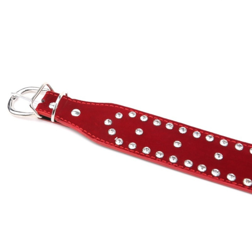 Красный ошейник с поводком и стразами фото 3