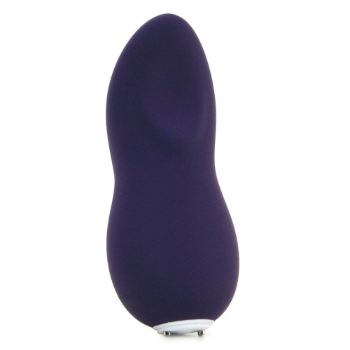 We-Vibe Touch USB Вибратор фиолетовый перезаряжаемый фото 3
