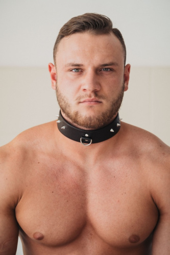 Коричневый ошейник с маленькими шипами XL фото 2