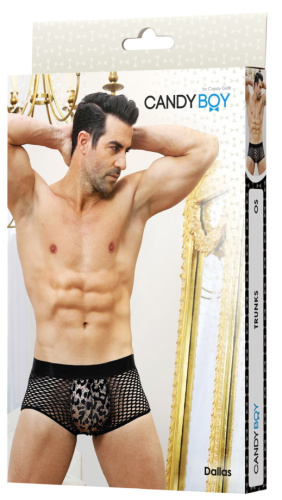 Сексуальные мужские трусы Cady Boy Dallas фото 4