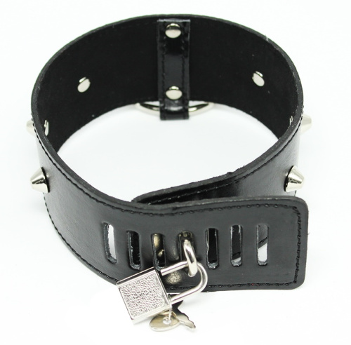 Широкий ошейник с шипами и стразом на поводке фото 5