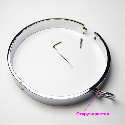 Ошейник женский стальной с классическими зажимами для сосков фото 3