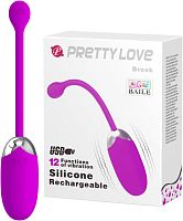 Классическое перезаряжаемое виброяйцо Pretty Love Brook