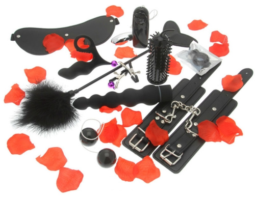 Набор Lovetoy Starter фото 2