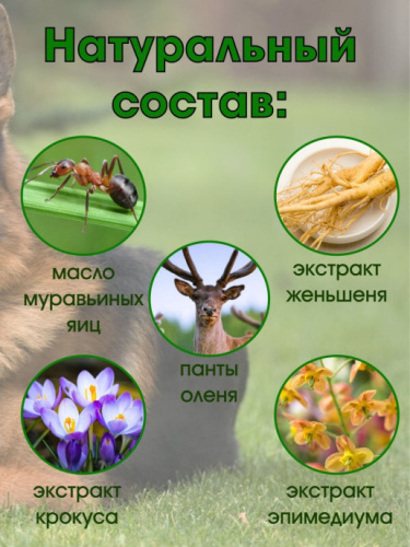 Возбуждающие капсулы для мужчин Германская овчарка 10 шт фото 2