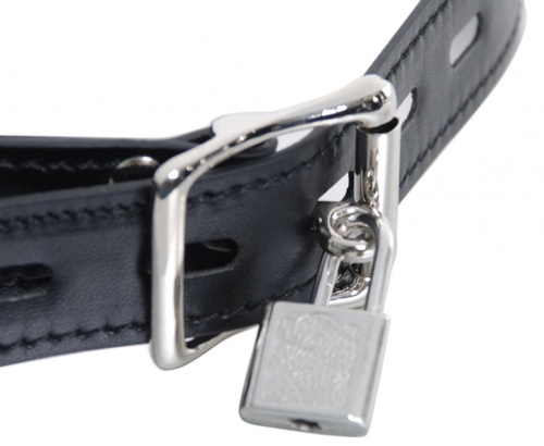 Силиконовый пурпурный кляп с зажимами для сосков и замочком фото 4