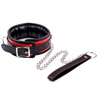 Ошейник с поводком красно-черный