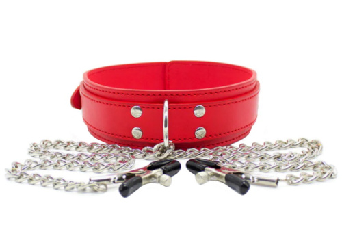 Красный ошейник с зажимами для сосков фото 2