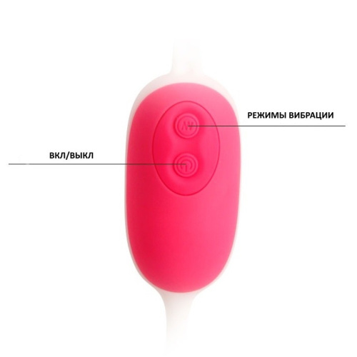 Вагинальные шарики с вибрацией Barnett Pretty Love фото 5