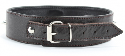 Коричневый ошейник с маленькими шипами XL фото 4