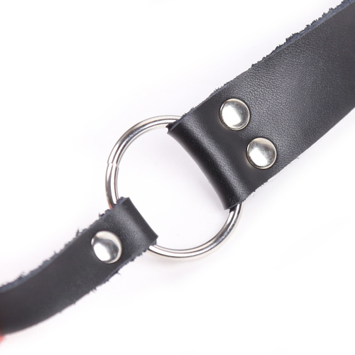 Красный силиконовый кляп на кожаном ремешке фото 8