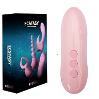 Вибростимулятор Ecstasy с насадками в комплекте