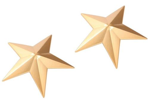 Золотые металлические пэстисы звездочки фото 3
