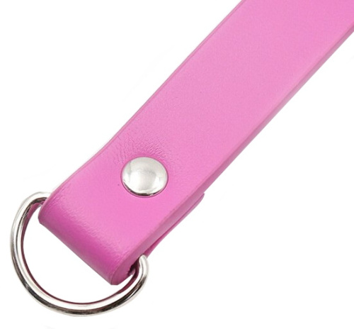 Розовый ошейник с замочком в форме сердца фото 4